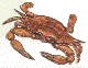 bcrab.gif (4196 bytes)